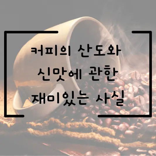 커피의 산도와 신맛