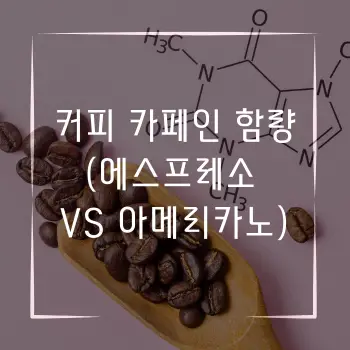 커피카페인 함량 에스프레소 vs 아메리카노